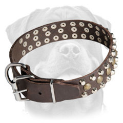 Rottweiler collar with rust-proof fittings