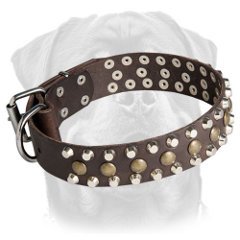 Leather decorated collar for Rottweiler