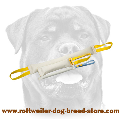 Durable stitched fire hose bite tugs for rottweiler
