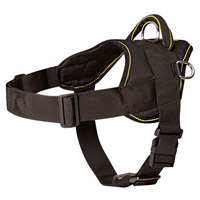 Similar Easy Walk Dog Harness for Rottweiler