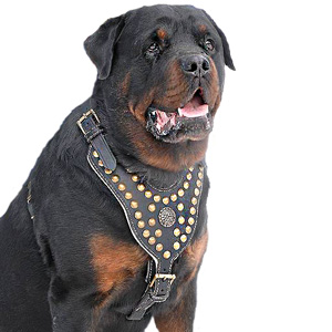 Rottweiler Dog Harnesses,leather dog harness