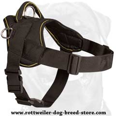 Lightweight remarkable nylon dog harness 