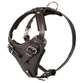 	
Protection Leather Harness for Rottweiler
