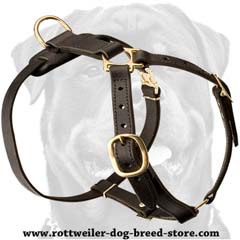 Qualitative fashion leather dog harness