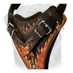 Padded chest plate harness