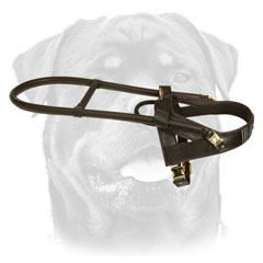 Rottweiler Leather Walking Harness