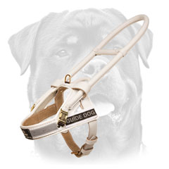 Rottweiler Leather White     Walking Harness
