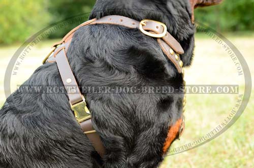 High Quality Rottweiler Leather Harness