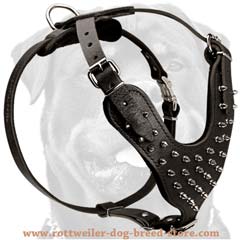 Reliable unique leather spiked dog harness