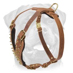 High quality spiked dog harness