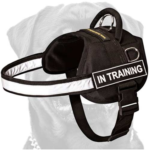 Light-weight walking premium nylon dog harness