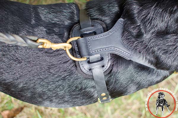Rottweiler harness with no-rubbing back plate