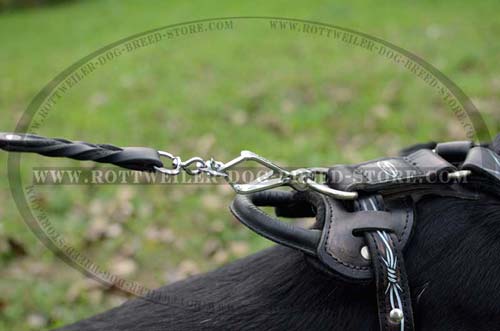 Exclusive Leather Dog Harness