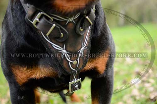 Hand Crafted Leather Rottweiler Harness