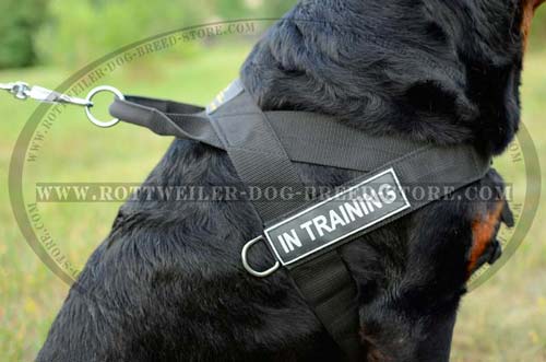 Lightweight Nylon Rottweiler Dog Harness