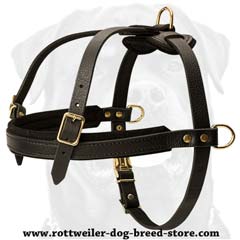 Multipurpose adjustable leather dog harness