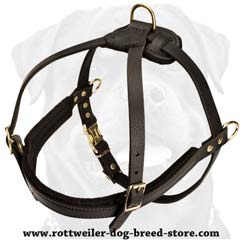 Exclusive everyday lifetime leather harness