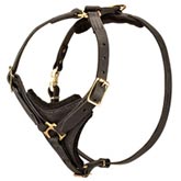 Exclusive Luxury Handcrafted Padded Leather Dog Harness for Rottweiler