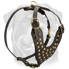 Dressy handmade studded leather dog harness