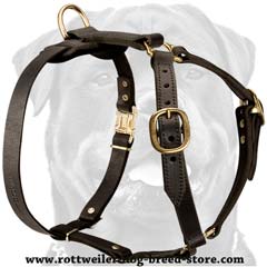 Easy-to-use professional leather dog harness