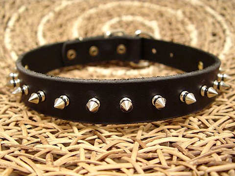 handmade leather spiked dog collar