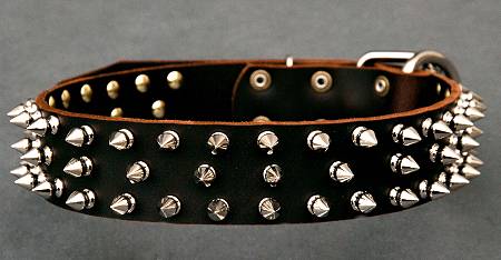Leather Spiked dog collar for rottweiler