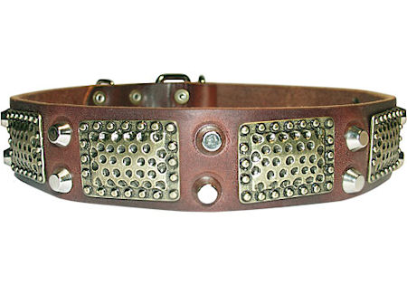 Rottweiler leather Brown dog collar