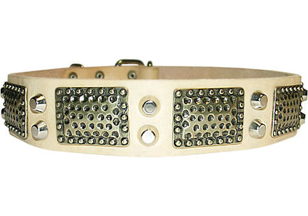 ROTTWEILER white leather dog collar