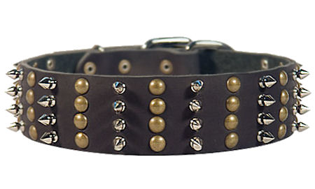 Rottweiler Spike Studded Dog Collar/2 inch wide Leather Studs collar