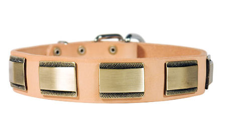 Designer  Collar on Designer Dog Collar For Rottweiler Leather Custom Collar  C88  1018