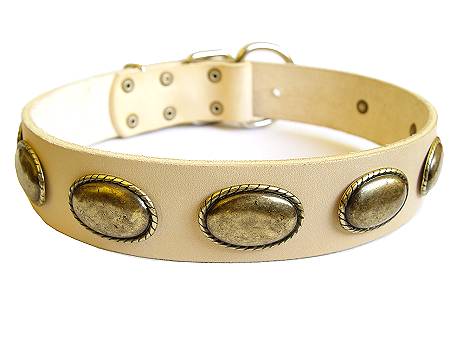 Retro Rulz - Gorgeous Vintage Dog Leather Collar for Rottweiler dog