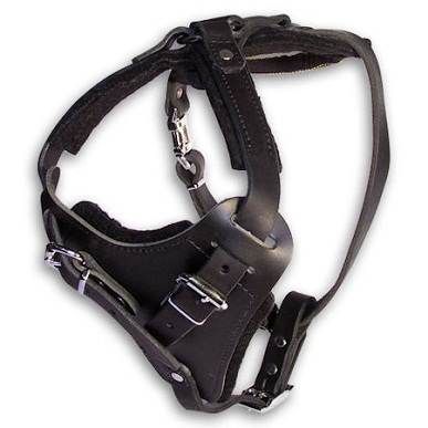 Great Leather Agitation Harness for Rottweiler