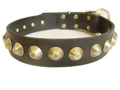 Gorgeous Wide Leather Dog Collar With Brass Pyramids for Rottweiler dog