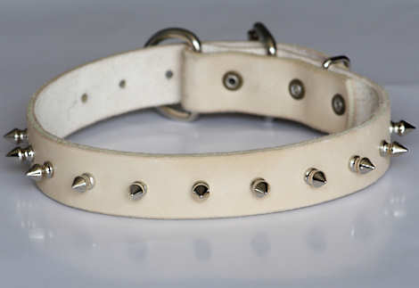 leather spiked and studded dog collar