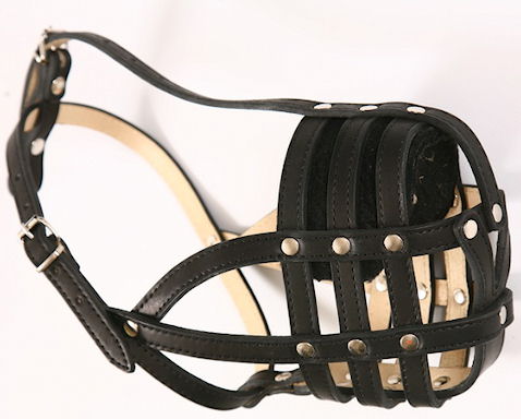 padded leather dog muzzle for Rottweilers