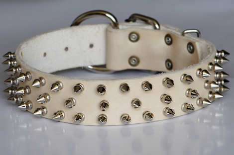 spiked dog collar for Rottweiler