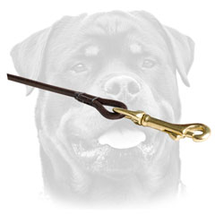 Round Leather Dog Leash With     Brass Hardware For Rottweiler 
