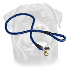 Nylon Dog Leash With Brass Snap Hook For Rottweiler 