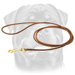 Strong Leather Everyday Rottweiler Dog     Lead