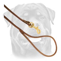 Rottweiler Round Leather Dog Lead