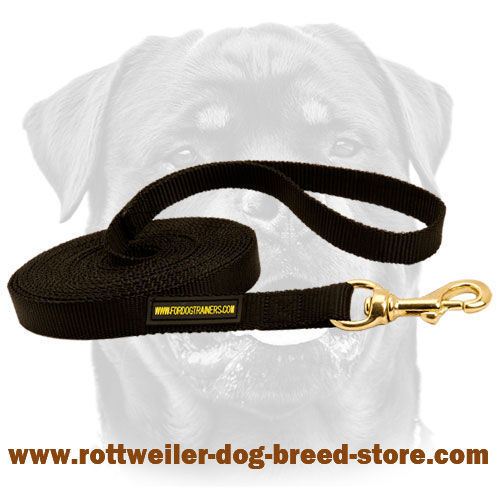 Professional Nylon Dog Leash for Rottweiler Breed