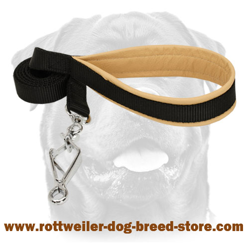 Rottweiler nylon leash with comfy handle