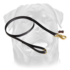 Waterproof leash for Rottweiler     activity