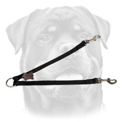 Rottweiler coupler with rust resistant nickel-plated O-ring