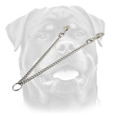Chain leash for walking with 2 Rottweilers