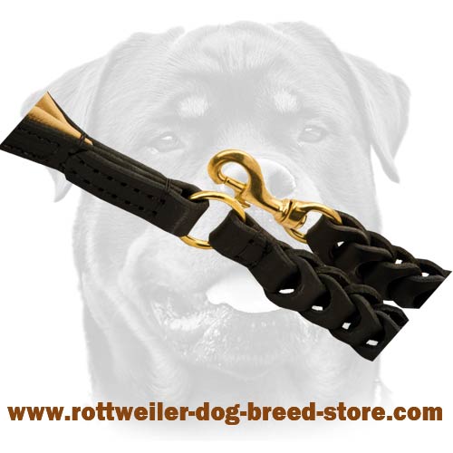 Extremely durable leather dog leash with solid snap  hook 
