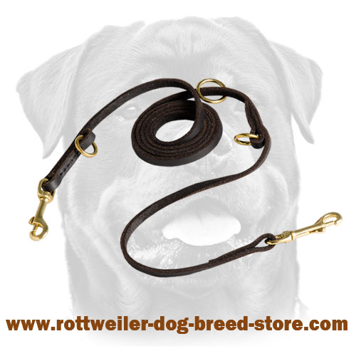 Leather adjustable dog leash with brass-made snap hooks and solid O-rings