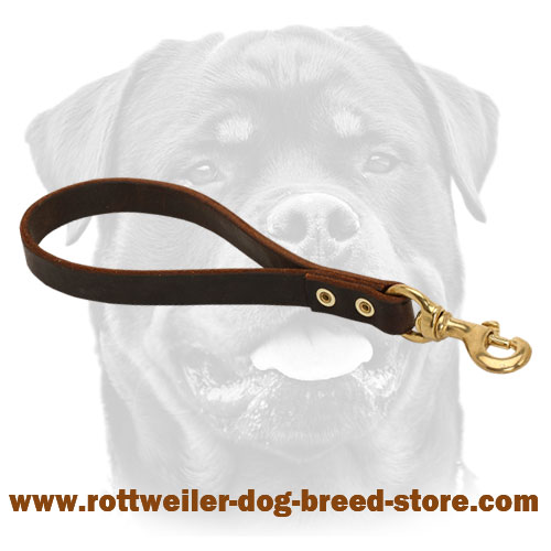 Short brown leather dog lead stitched for durability