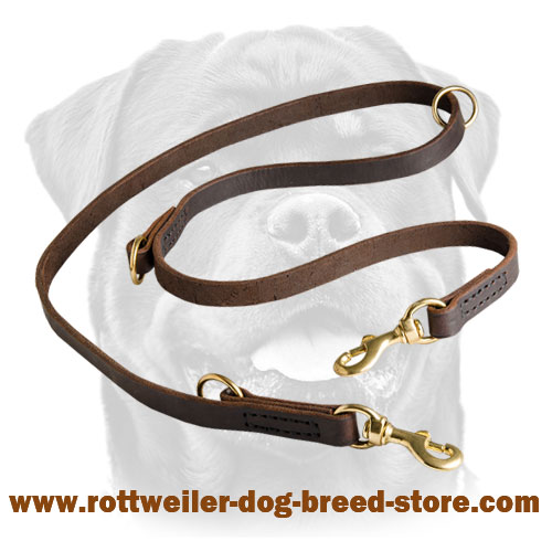 Unique Leather Dog Leash for Rottweiler