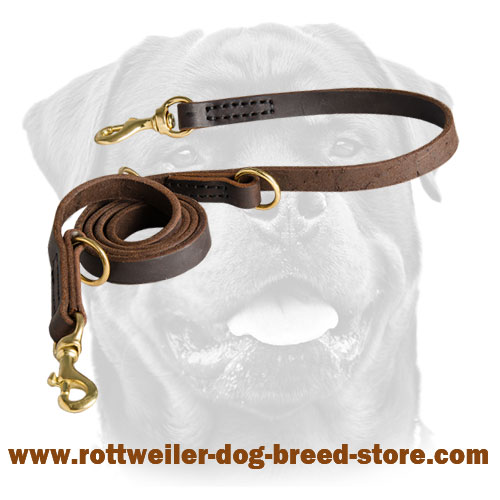 Multitasking Rottweiler Leash Leather Perfecly Oiled